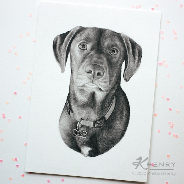 Custom Pet Portrait - Dog Cat Animal Drawing - Graphite Pencil Illustration - 5x7 8x10 inches