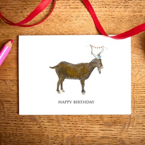 Carte d'anniversaire amusante / vieille chèvre / cartes écologiques