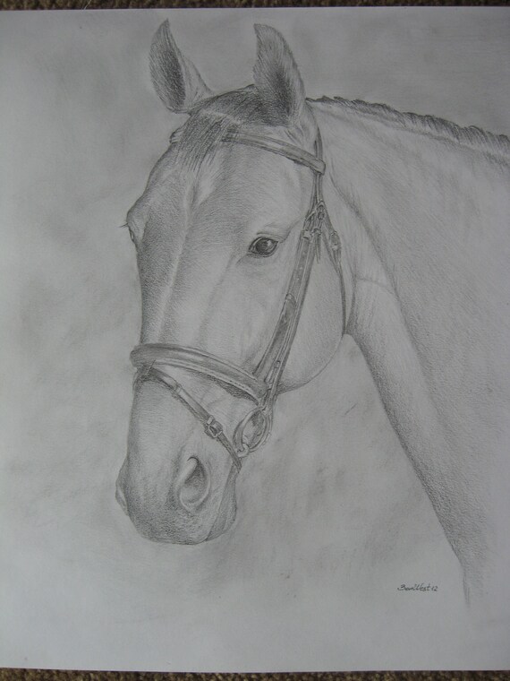 Items similar to Drawing Horse head on Etsy