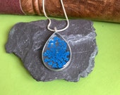 Real flower Necklace - necklace for women ,botanical necklace ,pressed flower,unique necklace ,something blue , handmade necklace