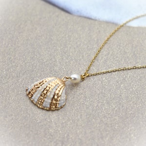 Sea Shell and Pearl Necklace Natural Shell With a Fresh Water Pearl on ...