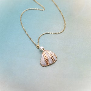 Sea Shell and Pearl Necklace Natural Shell With a Fresh Water Pearl on ...