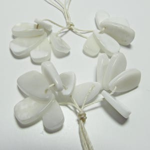 May include: A strand of white shell beads, each bead is a unique, irregular shape, resembling a flower petal. The beads are strung on a white cord.