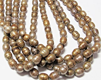 Gold Bronze Freshwater Pearl 6x8mm Oval Beads 16" Strand