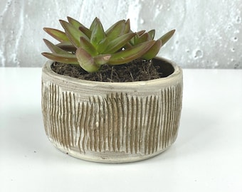 Hakeme Collection - Textured Small Planter