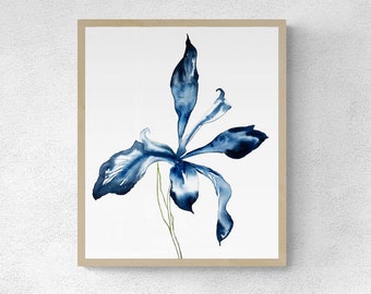 Iris No. 71 . Botanical Flower Watercolor Painting . Minimalist Giclee Print on Paper or Canvas with Ready to Hang Framed Option