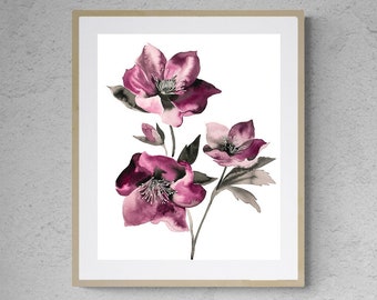 Hellebore No. 37 . Original Watercolor Ink Painting . Minimalist Modern Botanical Flowers . Expressive Floral .