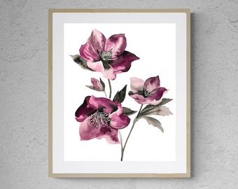 Hellebore No. 37 . Expressive Botanical Flowers Watercolor Painting . Giclee Print on Paper or Canvas with Ready to Hang Framed Option
