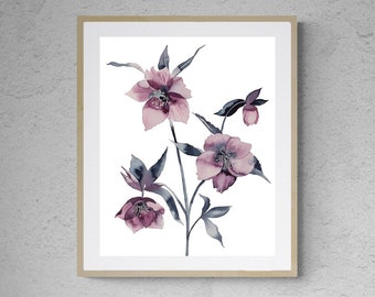 Hellebore No. 36 . Expressive Botanical Flowers Watercolor Painting . Giclee Print on Paper or Canvas with Ready to Hang Framed Option