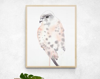 Peregrine . Expressive Bird Watercolor Painting . Minimalist Modern Giclee Print on Paper or Canvas with Ready to Hang Framed Option