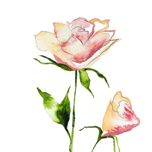 rose study no giclee fine art print of watercolor painting 56