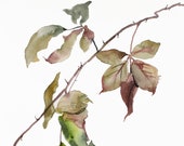 the woods no. 130 . original watercolor painting