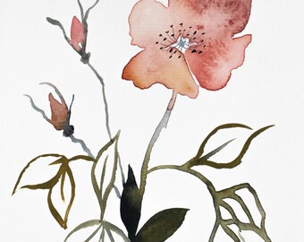rose study no giclee fine art print of watercolor painting 56