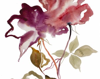 rose study no giclee fine art print of watercolor painting 56