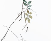 the woods no. 132 . original watercolor painting