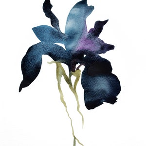 Iris No. 1 . Botanical Flower Watercolor Painting . Minimalist Giclee Print on Paper or Canvas with Ready to Hang Framed Option image 3