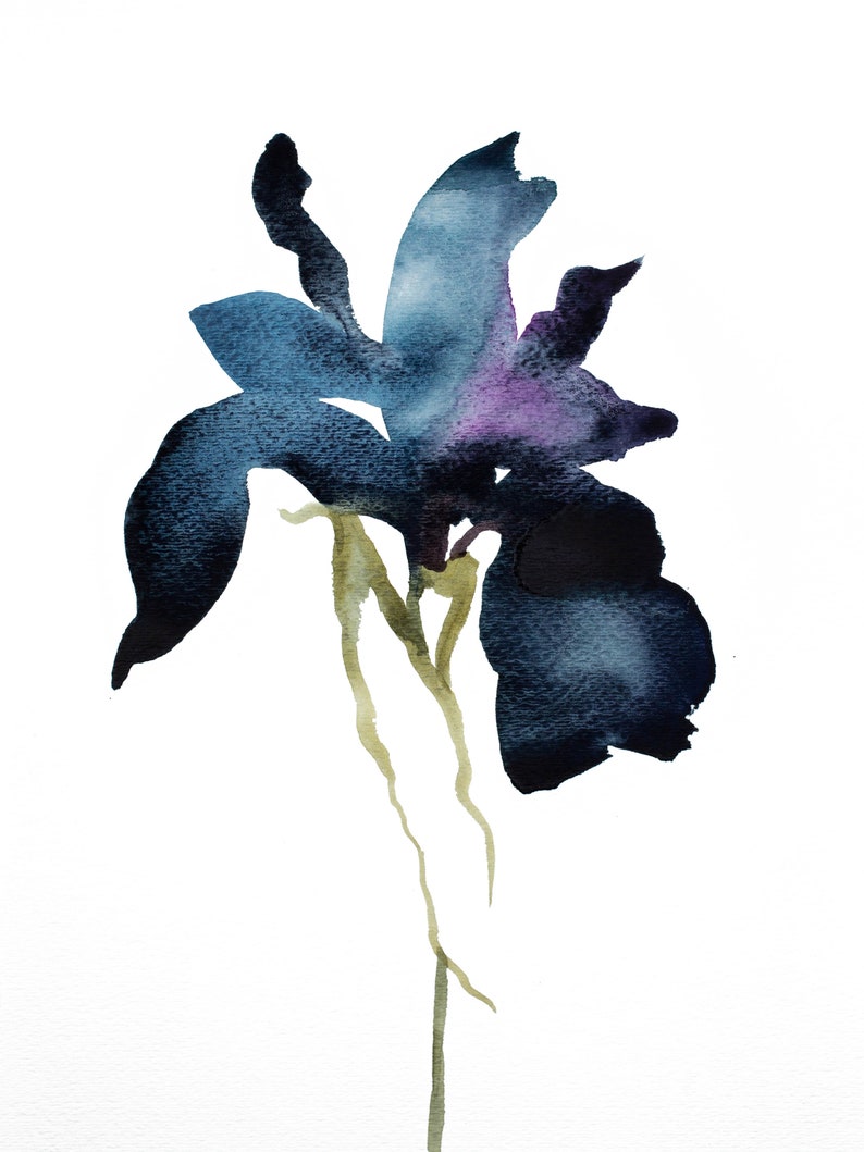Iris No. 1 . Botanical Flower Watercolor Painting . Minimalist Giclee Print on Paper or Canvas with Ready to Hang Framed Option image 3