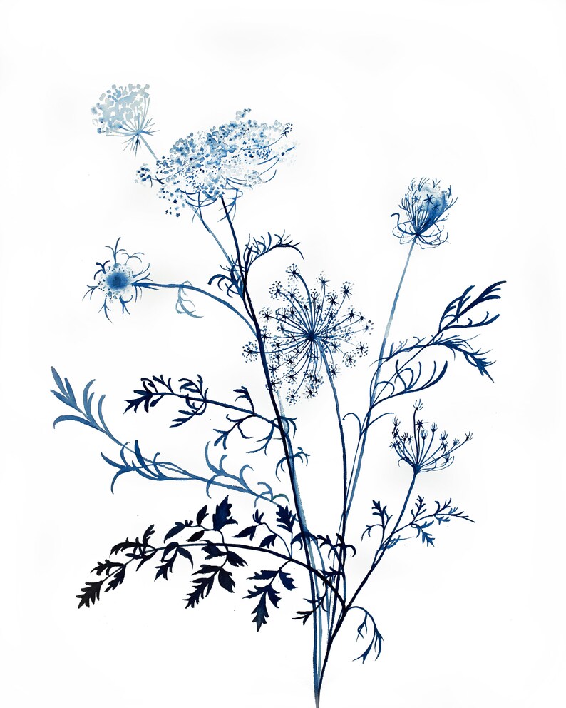 Download Queen Anne S Lace No Giclee Fine Art Print Of Watercolor Painting 11 Art Collectibles Giclee Delage Com Br