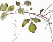 the woods no. 143 . original watercolor painting