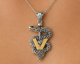 Colgante de caduceo veterinario de plata de ley y oro de 14 quilates, collar veterinario hecho a mano, regalo de joyería veterinaria VCD1-TNP