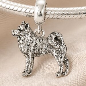 May include: A silver-toned charm shaped like a standing dog with a curled tail, featuring detailed fur texture and a smooth bail at the top. The charm is suspended from a silver-toned snake chain bracelet, showcasing a metallic finish.