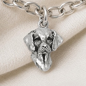 Vizsla Charm Sterling Silver Vizsla Jewelry, Hungarian Pointer Charm, Vizsla Bracelet Charm, Vizsla Owner Gift  VZ5-C