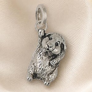 Guinea Pig Charm Sterling Silver Cavy Jewelry Pet Lover Charm Bracelet Keep GP5-C