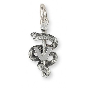 Veterinary Caduceus Jewelry Sterling Silver Handmade Veterinary Caduceus Charm  VCD2-C