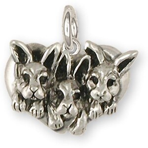 May include: Sterling silver charm featuring three adorable chihuahua puppies peeking out of a heart-shaped frame.