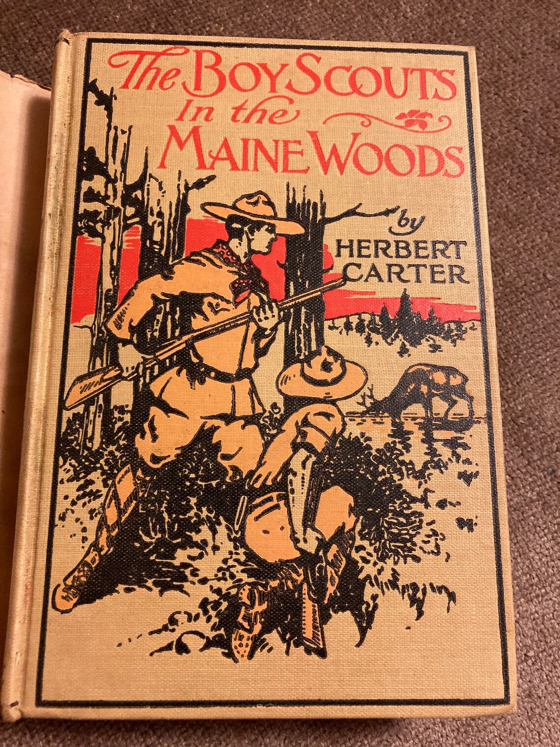 The Boy Scouts in the Maine Woods Herbert Carter 1913 Etsy