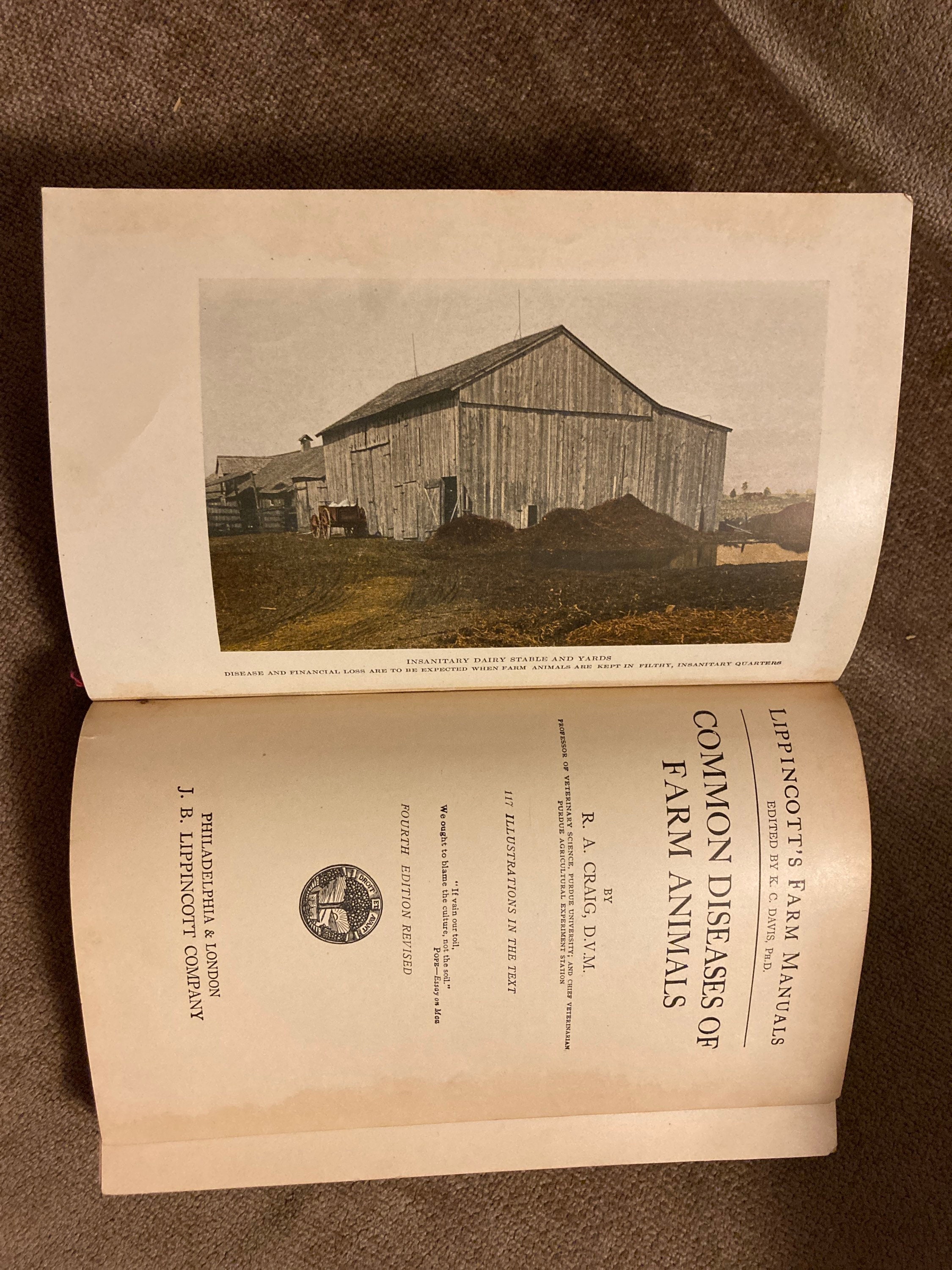 1927 Lippincott's Farm Manuals Common Diseases of Farm - Etsy 1927 Lippincott's Farm Manuals Common Diseases of Farm - Etsy