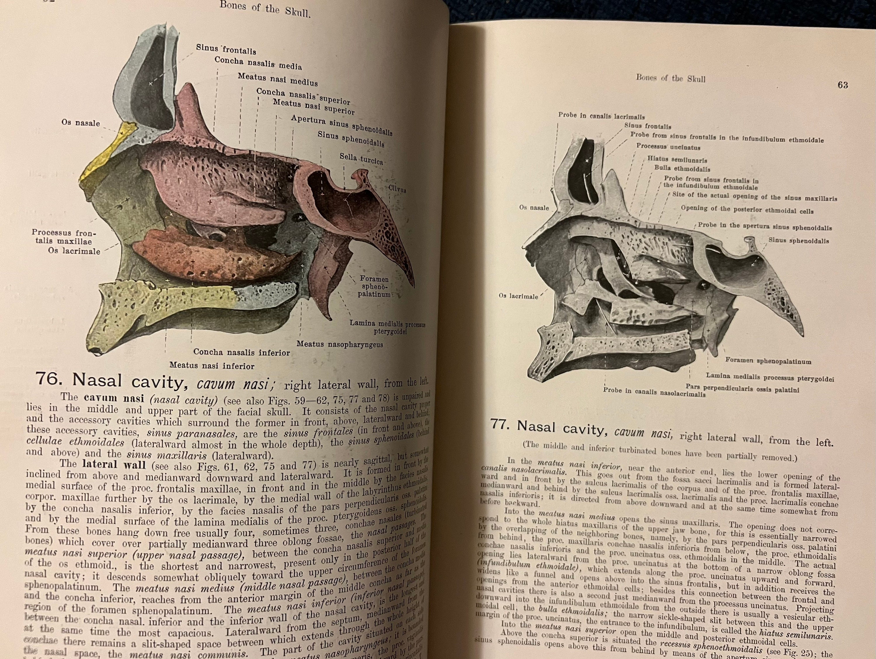 Hand-Atlas of Human Anatomy; Vol. 1: Bones, Joints, Ligaments