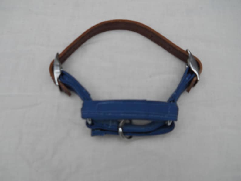 Lightweight Adjustable Goat Halter Pygmy and Nigerian Dwarf Etsy