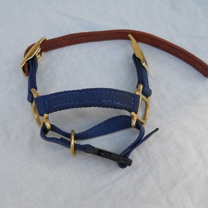 Adjustable Dwarf Goat Halter navy blue