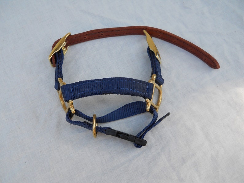 Adjustable Dwarf Goat Halter navy blue