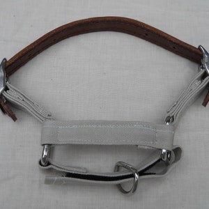 Pu&ograve; includere: Un capezza grigio chiaro per cavalli con una parte superiore in pelle marrone. Il capezza presenta elementi metallici color argento e una striscia nera sul sottogola. Il capezza &egrave; progettato per l'uso equino.