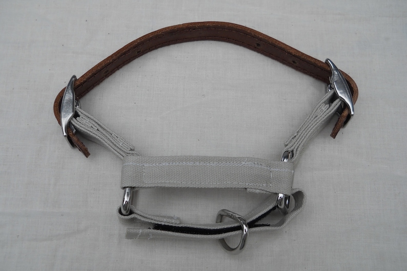 Pu&ograve; includere: Un capezza grigio chiaro per cavalli con una parte superiore in pelle marrone. Il capezza presenta elementi metallici color argento e una striscia nera sul sottogola. Il capezza &egrave; progettato per l'uso equino.