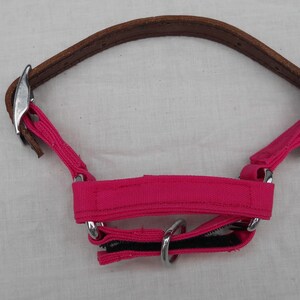 Pu&ograve; includere: Testiera per cavallo rosa acceso con una parte superiore in pelle marrone e ferramenta color argento. La testiera presenta una capezzina e guanciali rosa brillante, con chiusura in velcro nera.