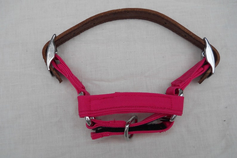 Pu&ograve; includere: Testiera per cavallo rosa acceso con una parte superiore in pelle marrone e ferramenta color argento. La testiera presenta una capezzina e guanciali rosa brillante, con chiusura in velcro nera.