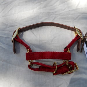 Adjustable Dwarf Goat Halter Red