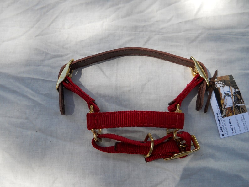 Adjustable Dwarf Goat Halter Red