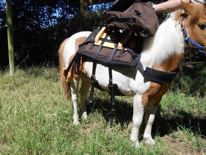 Mini Horse Pack Saddle Large Adjustable | Etsy