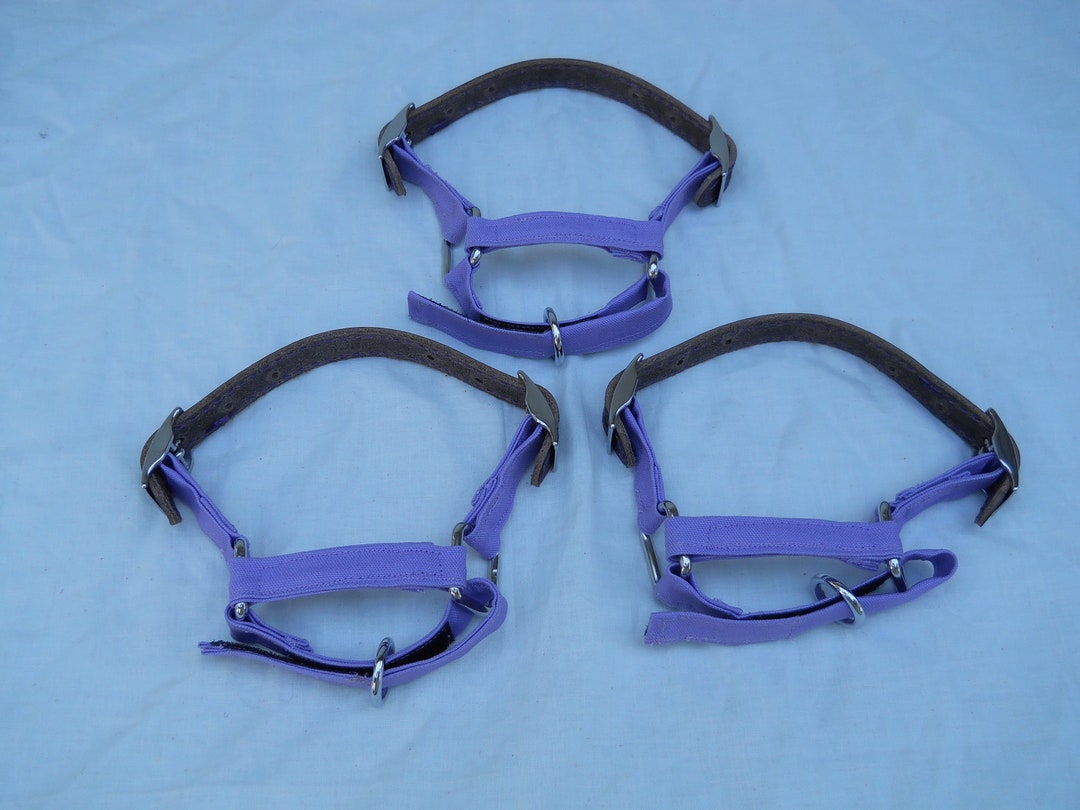 Lightweight Adjustable Goat Halter Pygmy and Nigerian Dwarf With Lead