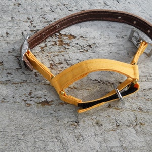Pu&ograve; includere: Un collare per cani con un cinturino in pelle marrone e una sezione in tessuto giallo. Il collare ha elementi metallici color argento e una chiusura in velcro nera. Il cinturino in pelle &egrave; rivettato.