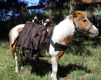 pack equipment