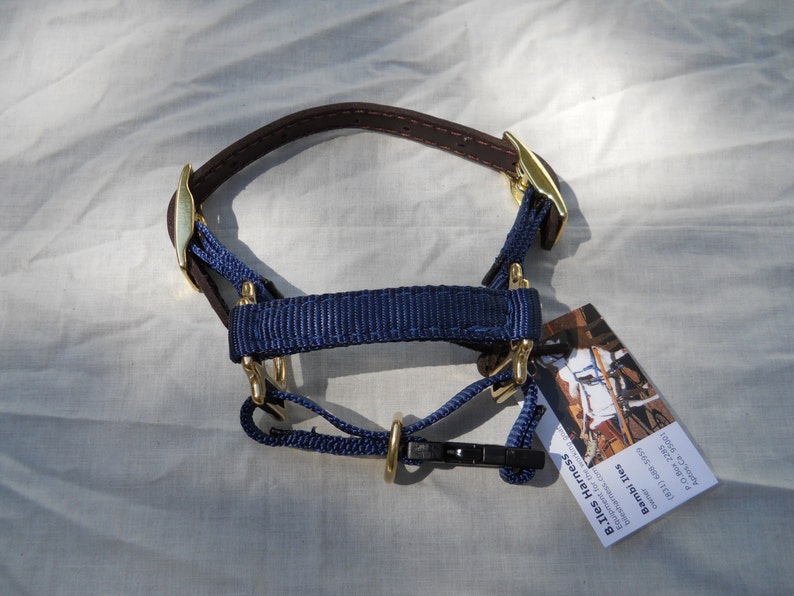 Adjustable Dwarf Goat Halter image 3