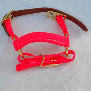 Adjustable Dwarf Goat Halter bright orange