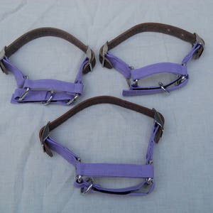 Adjustable lightweight Nigerian Dwarf goat halter