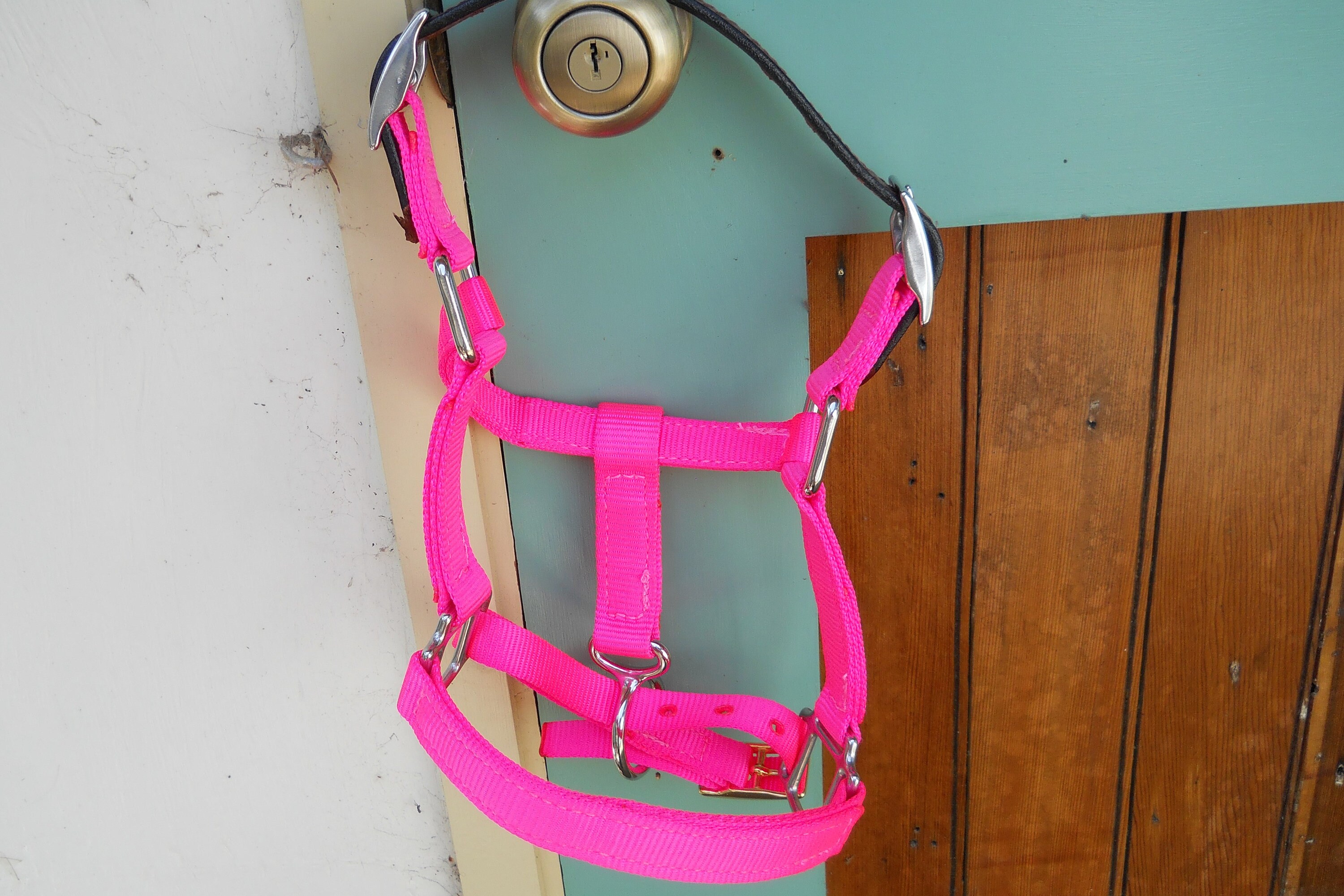 Mini Horse Breakaway Halters with matching 6' lead Etsy 日本