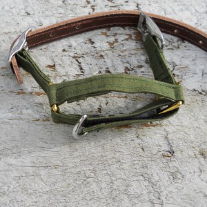 Pu&ograve; includere: Un collare per cani verde oliva con cinturino in pelle marrone e finiture argentate. Il collare presenta una sezione in tessuto con dettagli dorati e un anello di metallo. Lo sfondo &egrave; una superficie di legno bianco.